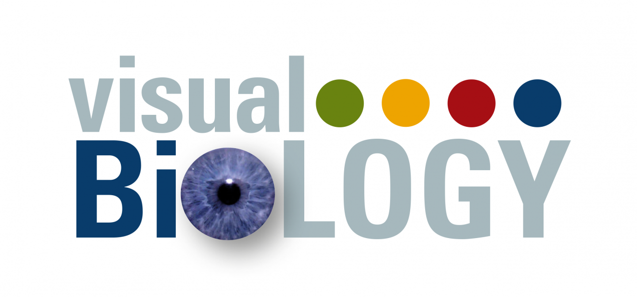 ViSUAL-BiOLOGY
